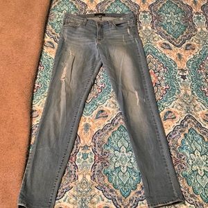Flying Monkey Skinny Jeans